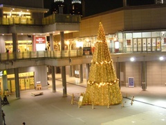 20061118_1.jpg