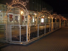 20061118_2.jpg